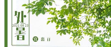 处暑树绿色简约公众号首图