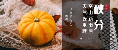 秋分南瓜黄色简约公众号首图