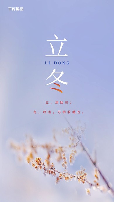 立冬雪花冰花植物蓝紫色系简约风海报