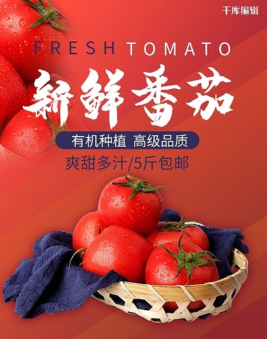 水果新鲜番茄红色简约风电商banner