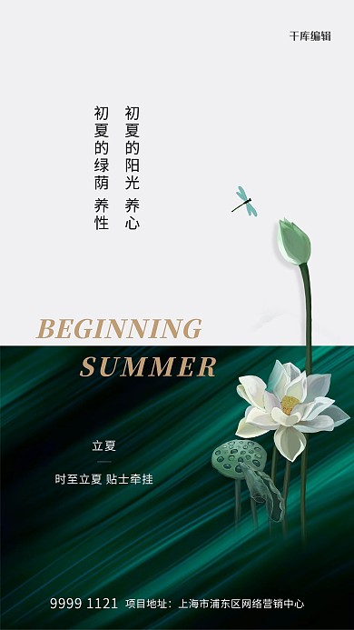 立夏荷花绿色创意海报