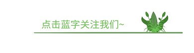 新媒体引导
