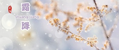 霜降二十四节气紫色简约新媒体公众号首图