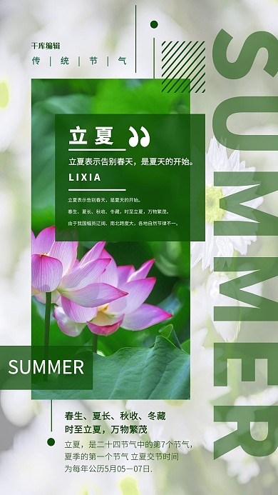 立夏荷花绿色简约海报