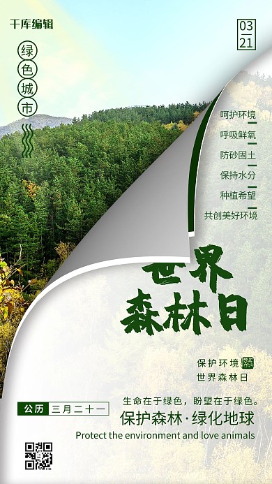 世界森林日绿色简约海报世界森林日海报