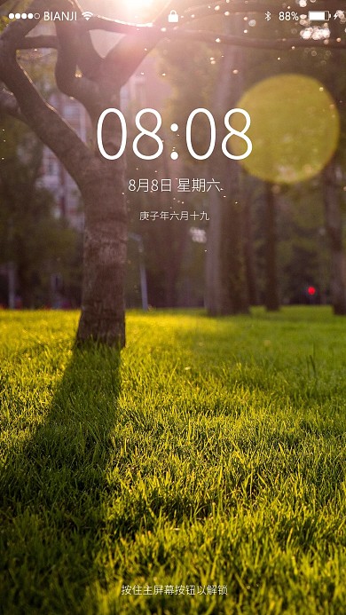 阳光光晕大树草地手机壁纸