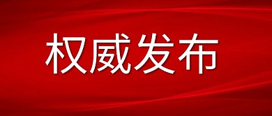 红色党政权威发布旗帜红色简约公