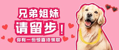 兄弟姐妹请留步狗狗粉可爱公众号首图