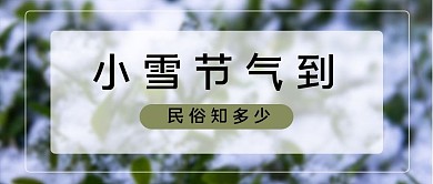 小雪节气到树叶绿色简约公众号封面首图