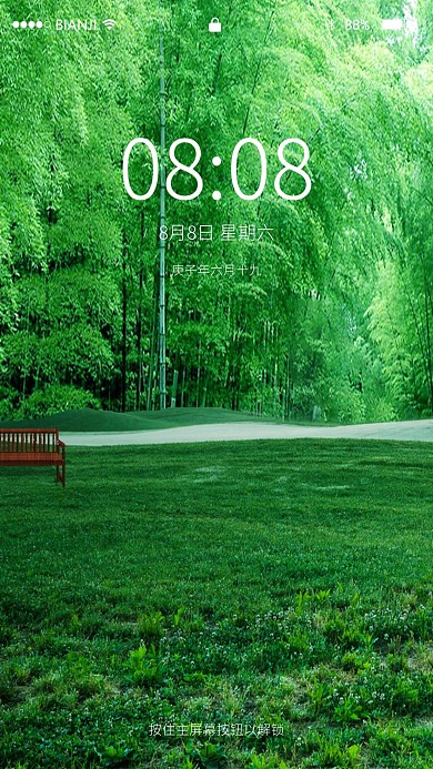 春天质感树木背景