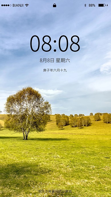 树木草地和蓝天的照片