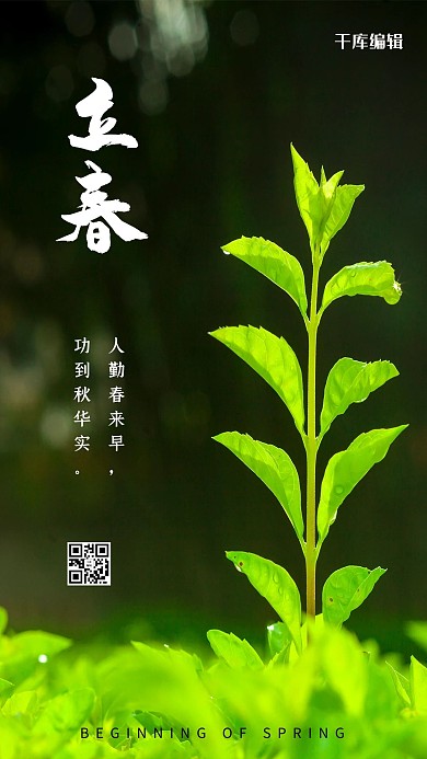 立春新芽绿色摄影图海报