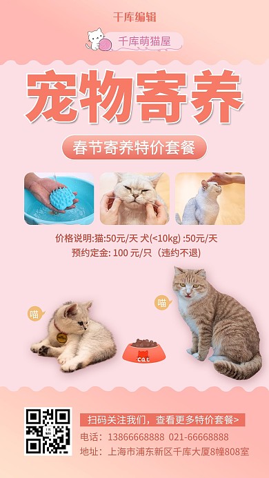 宠物寄养喵星人粉色卡通风手机海报