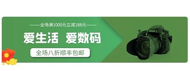节日大促 狂欢 优惠券 促销胶囊图banner