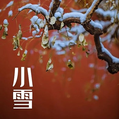 小雪彩色摄影图公众号次图