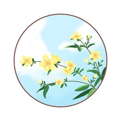 惊蛰黄色花朵公众号次图