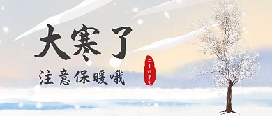 二十四节气大寒白色温馨公众号首图