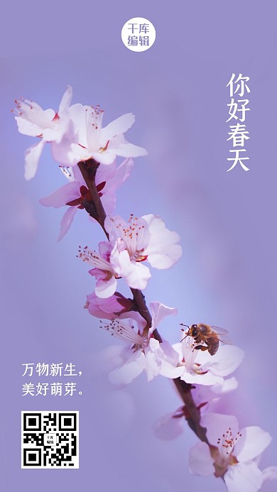 你好春天桃花紫色简约风手机海报