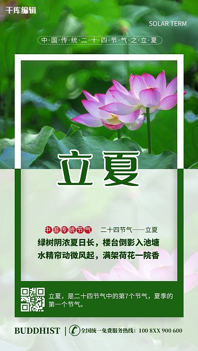 立夏荷花绿色简约海报