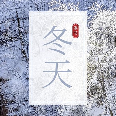 冬天 雪 白色 简约 公众号次图