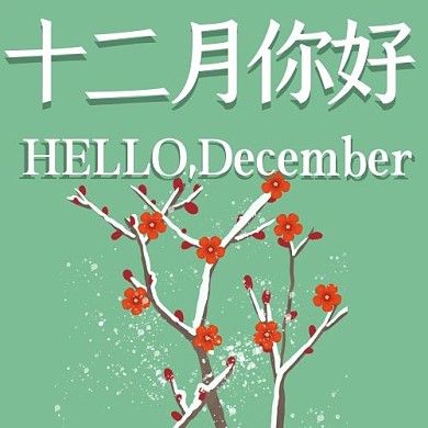 12月你好梅花大雪浅绿色清新公众号次图