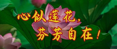 千库编辑原创老年风公众号荷花绿色老年风公众号首图
