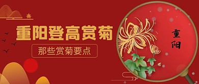 重阳登高赏菊菊花红色简约公众号首图