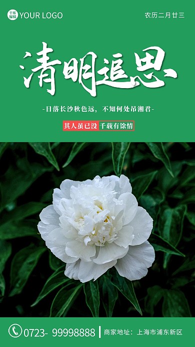 清明追思花白色 绿色清新海报
