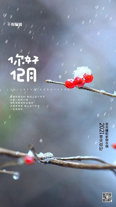 摄影图树枝白色创意海报