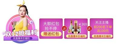 双12电商渐变清新电商胶囊