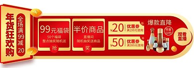 年货节优惠红色电商胶囊