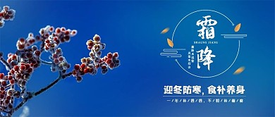 霜降野果枝条蓝色简约手机配图