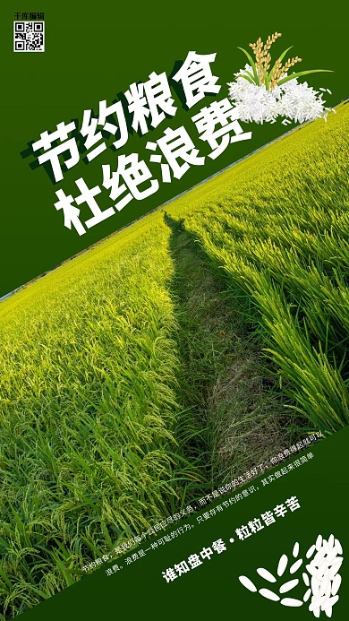 节约粮食杜绝浪费稻田 米绿色