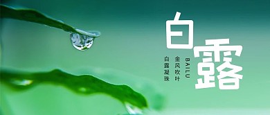 二十四节气之白露微信公众号封面图