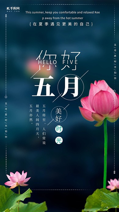 你好五月荷花蓝色简约清新海报