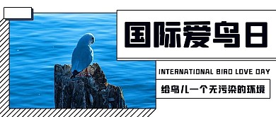 国际爱鸟日小鸟蓝色扁平公众号首图