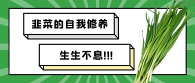 韭菜的自我修养绿色创意搞笑公众号首图