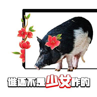 千库编辑原创元素 谁还不是少女咋的猪黑色搞笑表情包