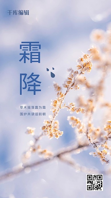 二十四节气霜降蓝色简约海报