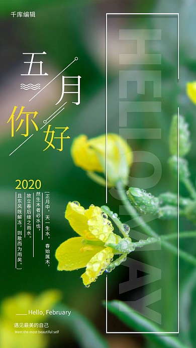 五月你好花朵绿色简约海报摄影图