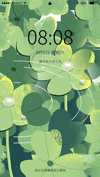 平铺四叶草绿植背景