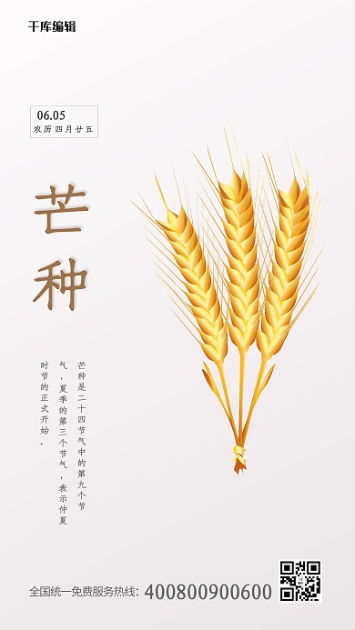 芒种节气棕色简约海报