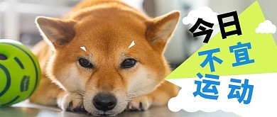 萌宠柴犬咖啡色卡通公众号首图