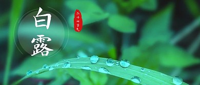 千库编辑原创二十四节气露水绿色简约公众号首图