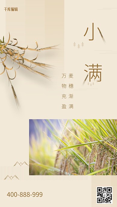 小满小满节气浅棕色简洁海报