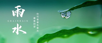 雨水绿叶雨水绿色简约风公众号首图