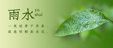 雨水绿叶雨水青色简约风公众号首图