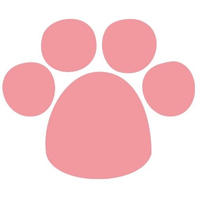 可爱卡通粉色猫爪印公众号次图