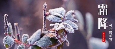 霜降雪彩色摄影图公众号首图