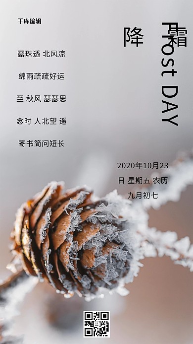 霜降冰霜灰色创意海报